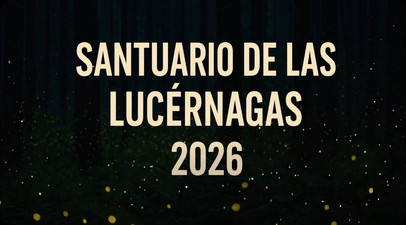 Which Is the Best Firefly Sanctuary in Mexico? Comparison of Tlaxcala, Puebla, and the State of Mexico