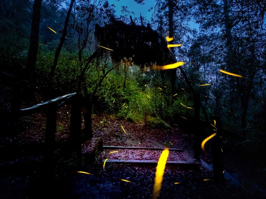 San Miguel de Allende Tour - Firefly Sanctuary Glamping (Private Tent)